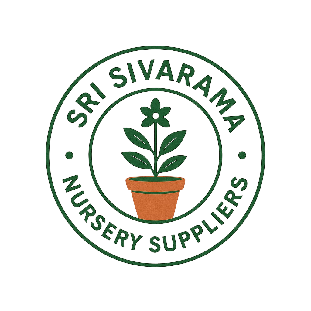 siva rama